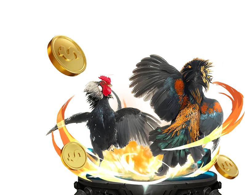 Hình ảnh tiền thưởng hàng ngày và hoàn trả